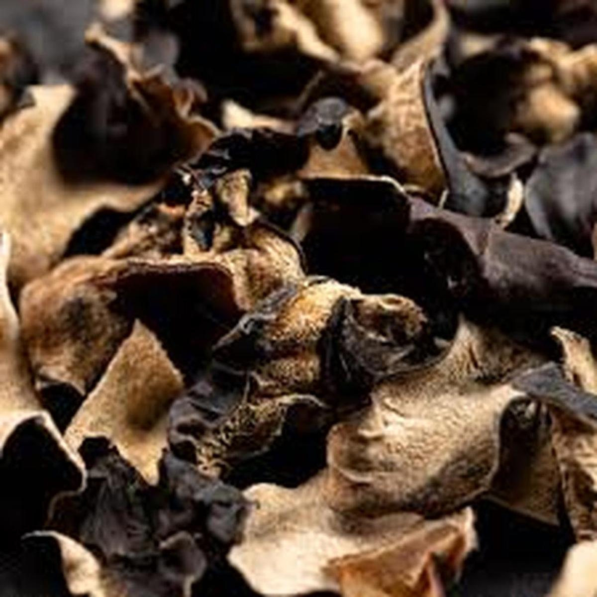 LE PETIT CHAMPIGNONS NORIS EXTRA 100G