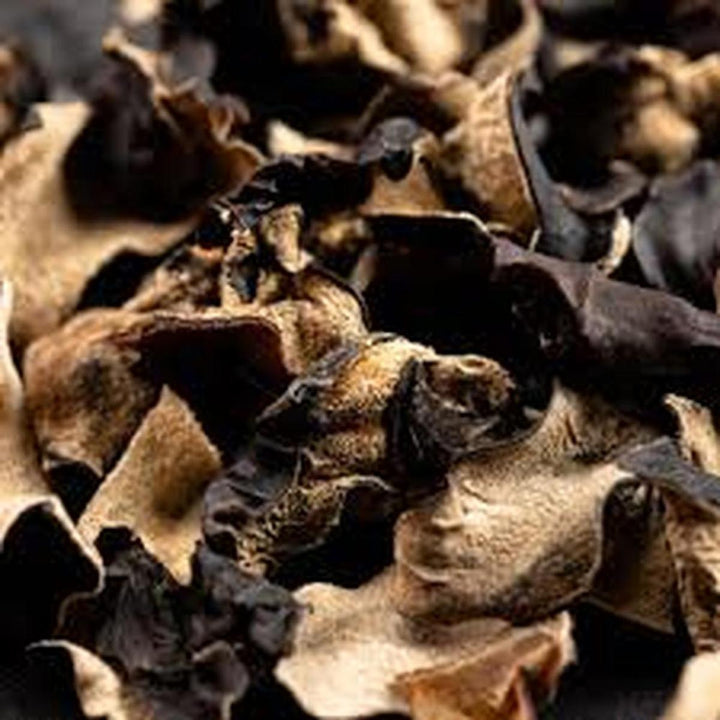 LE PETIT CHAMPIGNONS NORIS EXTRA 100G