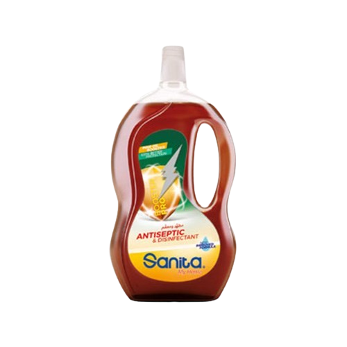 Sanita Antiseptic & Disinfectant 600Ml