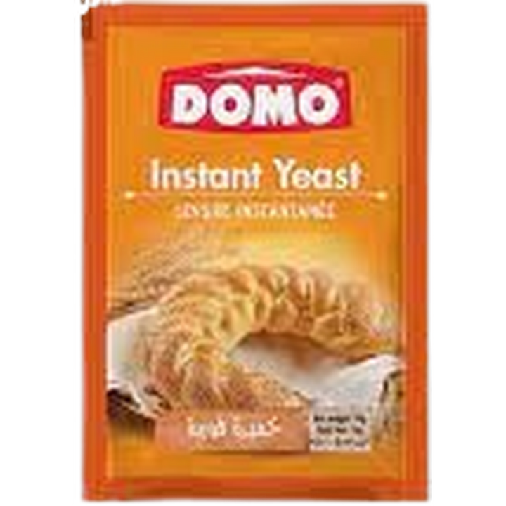 DOMO INSTANT YEAST 10GR