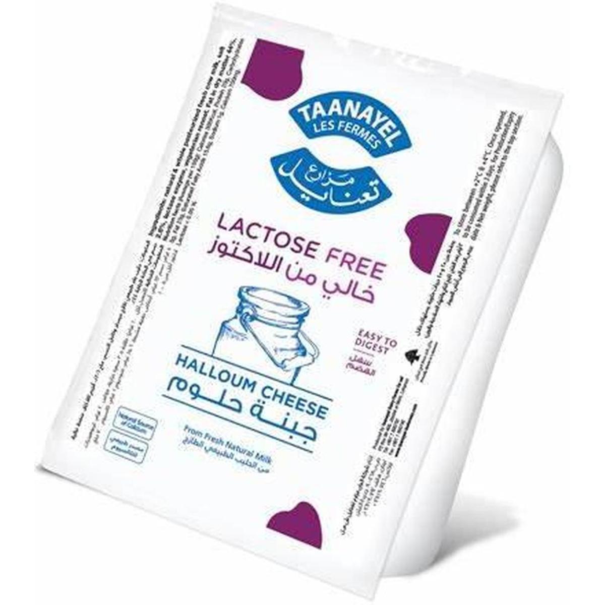 TAANAYEL HALLOUM LACTOSE FREE