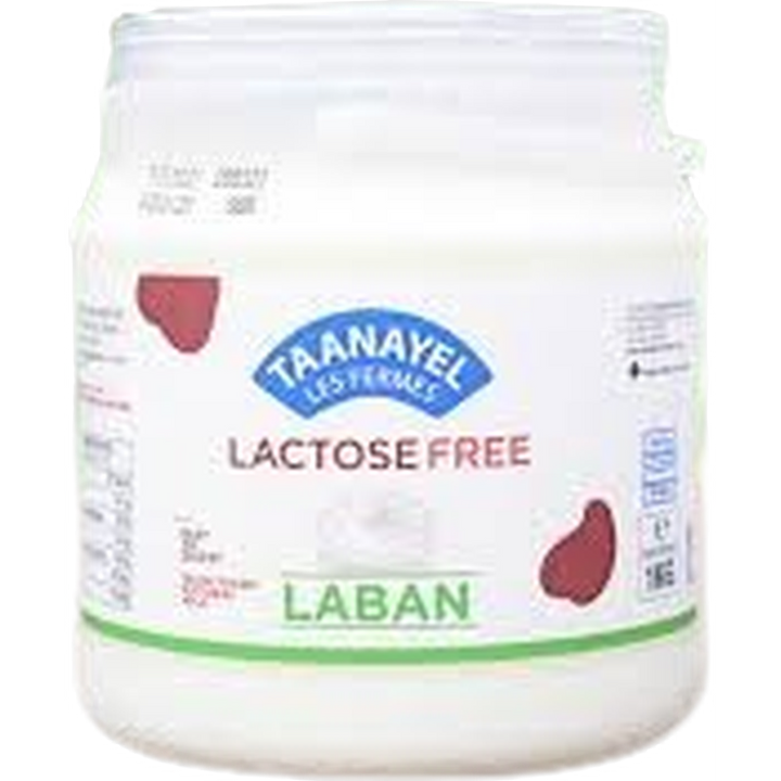 TAANAYEL LABAN LACTOSE FREE 1K
