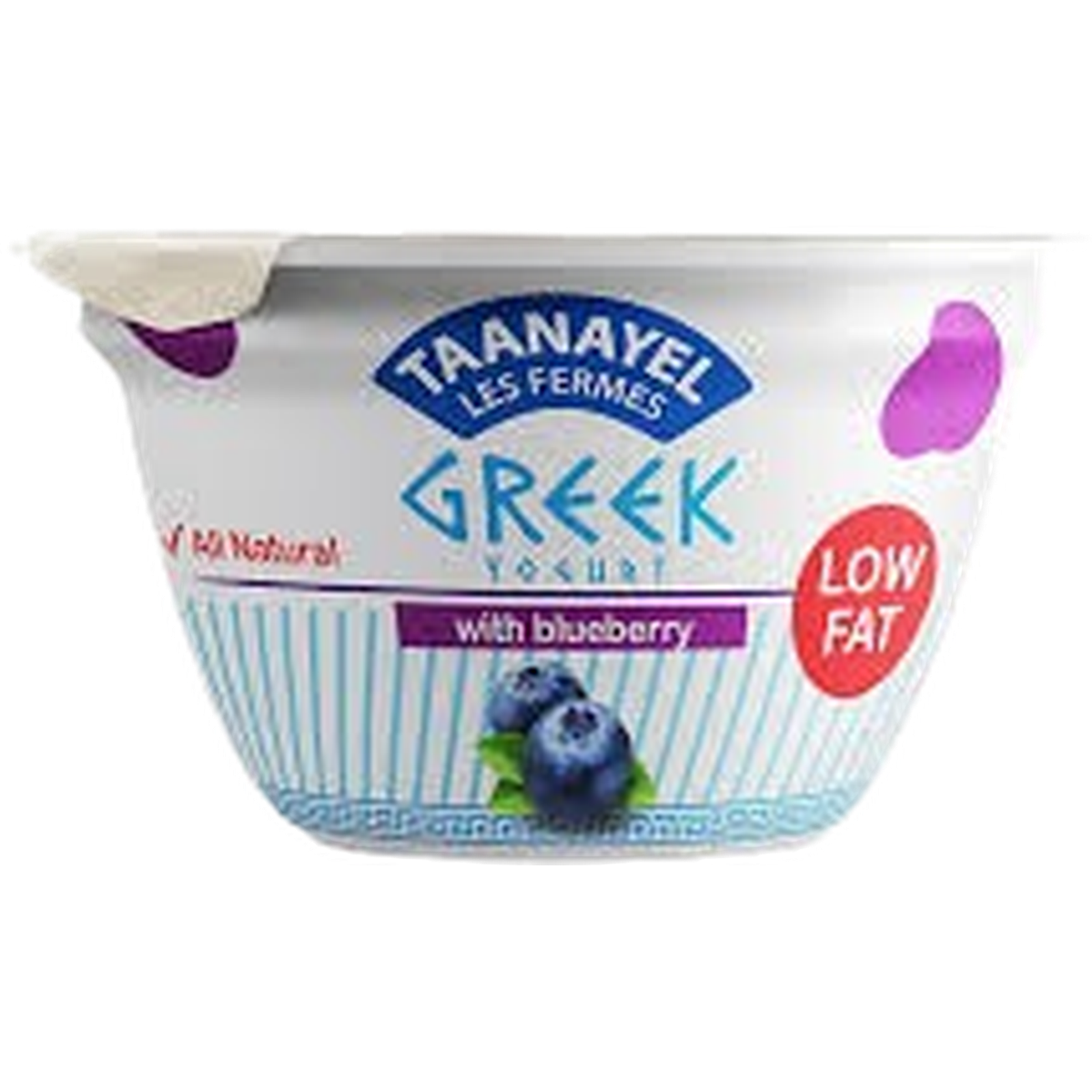 TAANAYEL GREEK BLUEBERRY YOGURT 150G