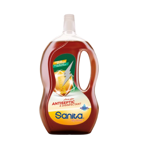Sanita Antiseptic & Disinfectant 500Ml + 100Ml Free